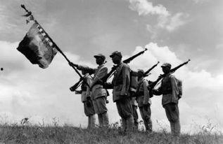 我的士兵们,无畏征程，铸就辉煌