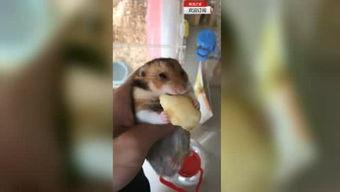 八零老爹断舍离,揭秘新时代生活哲学的智慧之道