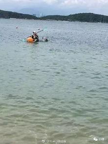 再见了今夜我就要远航,青春梦想的启航之旅 第2张 再见了今夜我就要远航,青春梦想的启航之旅 第2张