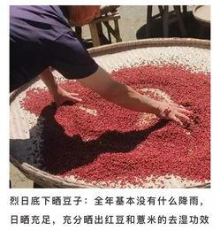 非常湿,揭秘湿润世界的奥秘与魅力 第3张 非常湿,揭秘湿润世界的奥秘与魅力 第3张