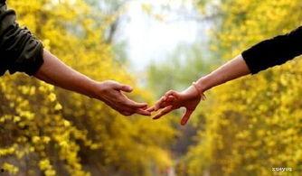 一梦如初,穿越时空的浪漫邂逅  第3张