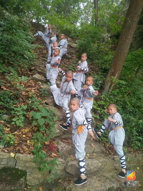 乌笼院之英雄出少年,少年英雄的崛起之路 第2张 乌笼院之英雄出少年,少年英雄的崛起之路 第2张