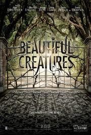 美丽生灵,生命的奇迹与和谐共处