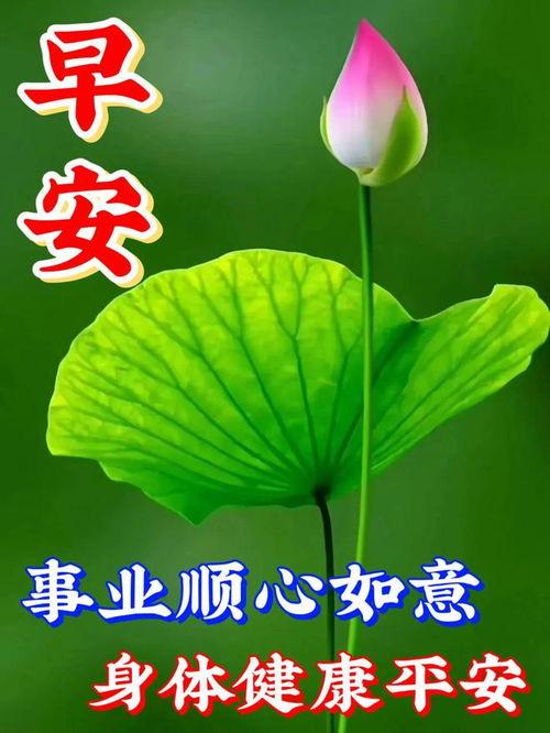 又是充满希望的一天,又是充满希望的一天，携手共筑美好未来”