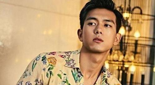 娱乐圈吃瓜第一人男明星,揭秘幕后风云，独家爆料不断